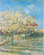 Vincent Van Gogh Flowering orchard Spain oil painting artist